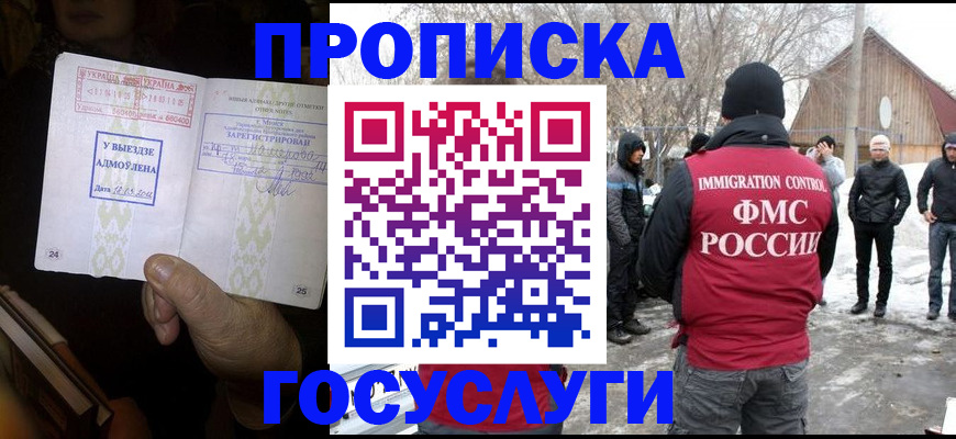 прописка поиск в Каменке